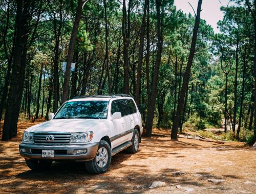 White Toyota SUV parked on a dirt trail in a forest, illustrating body-on-frame off-road use