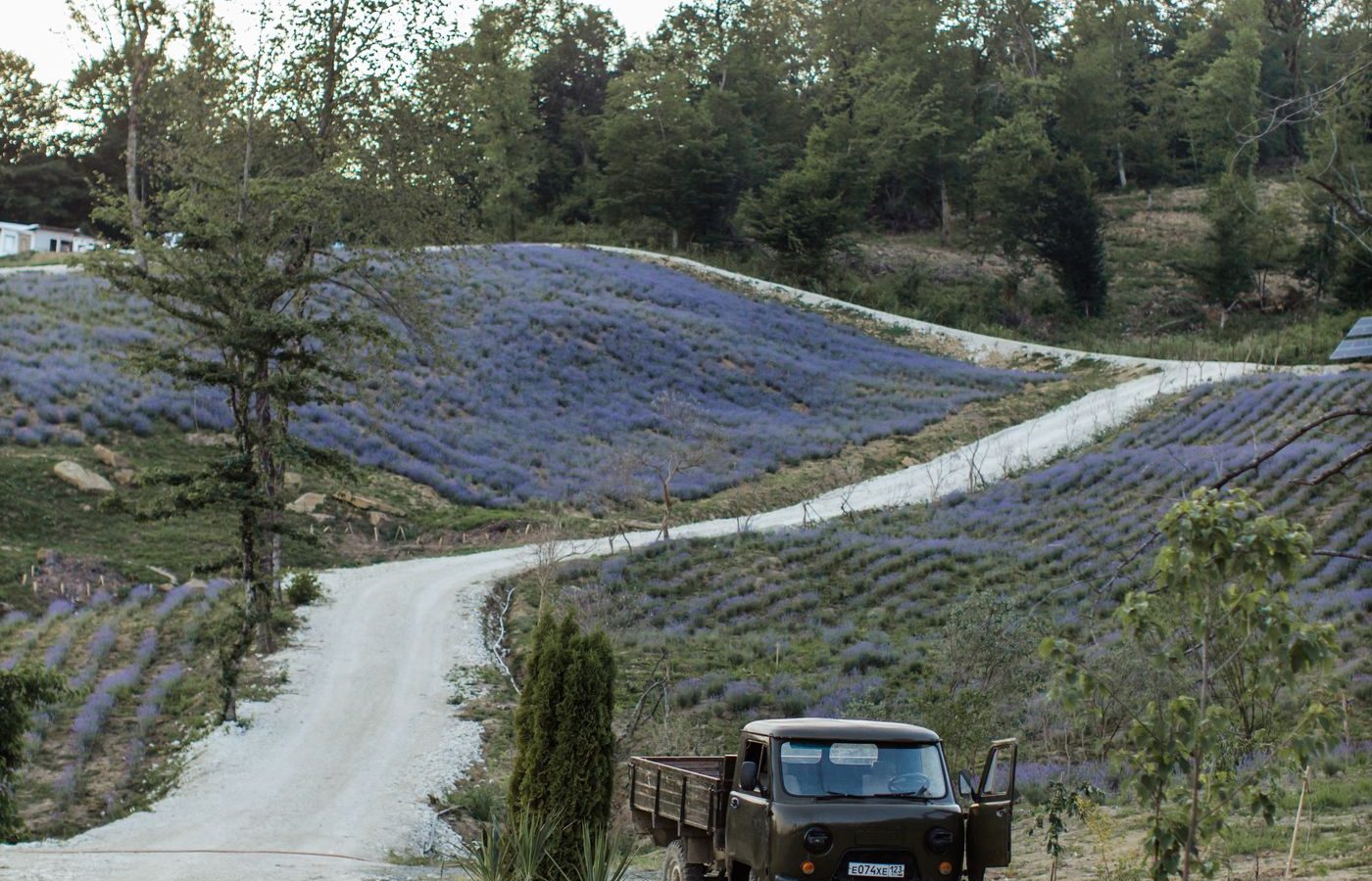 Black full-size pickup truck parked beside a rural country road