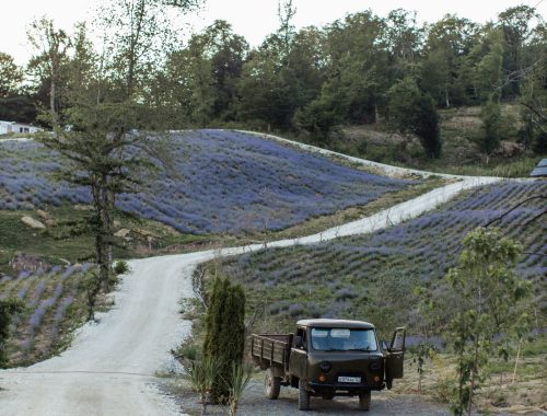 Black full-size pickup truck parked beside a rural country road