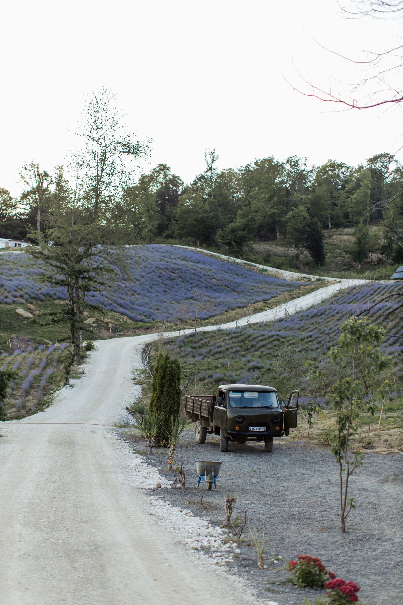 Black full-size pickup truck parked beside a rural country road