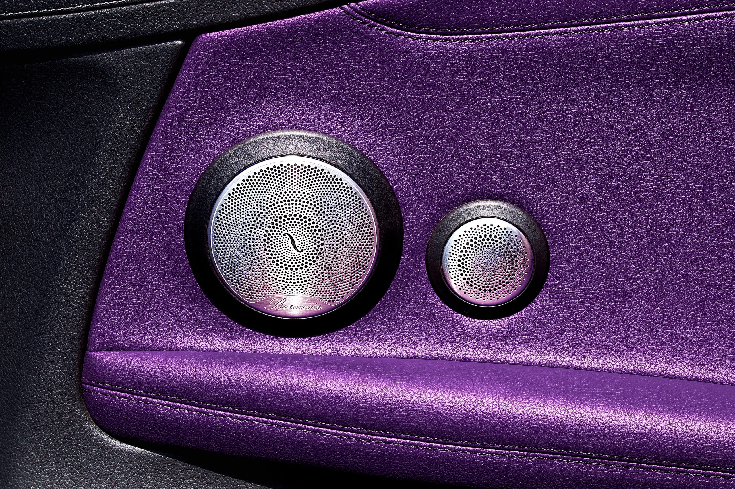 Car speakers with detail visible